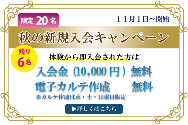 11月キャンペーン